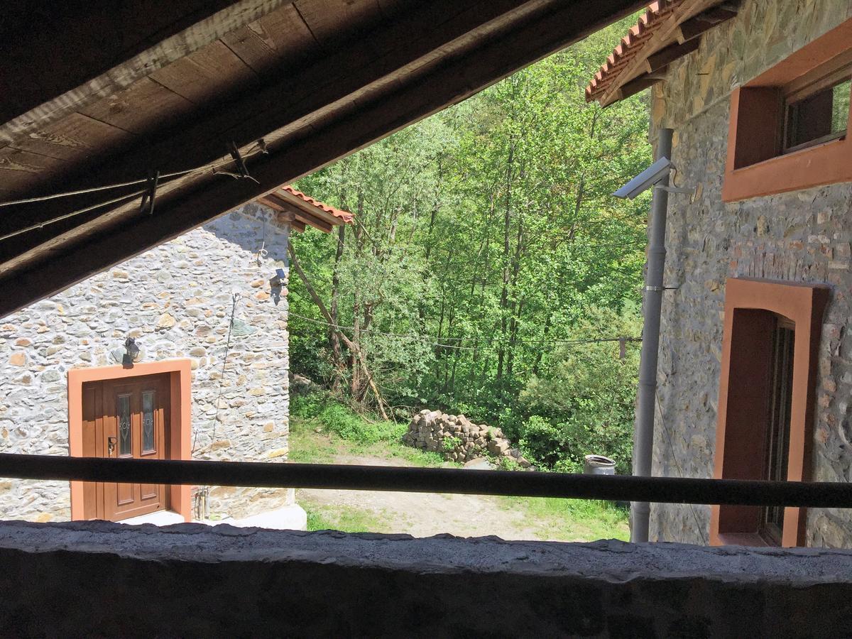 Giusvalla Forest Village Dego Номер фото