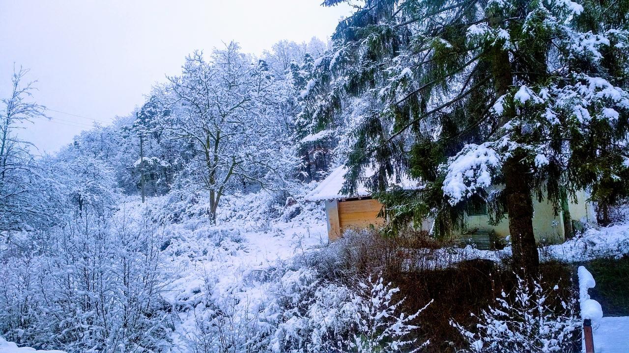 Giusvalla Forest Village Dego Экстерьер фото